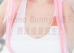 资源推荐:Hana Bunny影像下的芙莉莲,葬送或是重生?